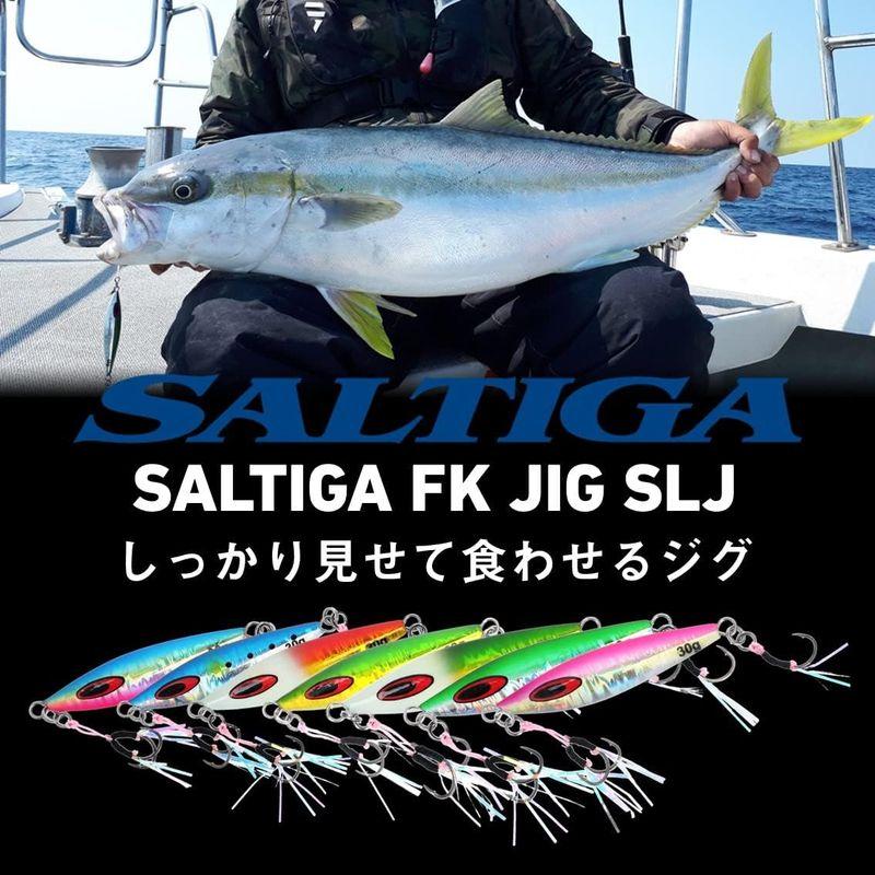 ダイワ(DAIWA) リールケース ソルティガ FKジグ SLJ 80g MGブルピン｜hands-new-shop｜05