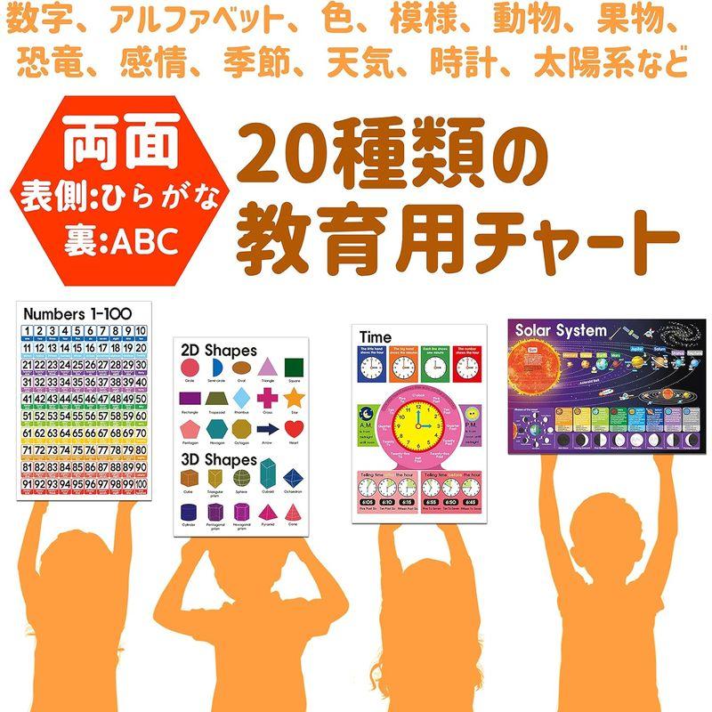 ナウエデュ幼児知育ポスター40種類（両面:ひらがな?ABC）子供、幼稚園、教室、ホームスクール NOWEDU 40 types of ear｜hands-new-shop｜10