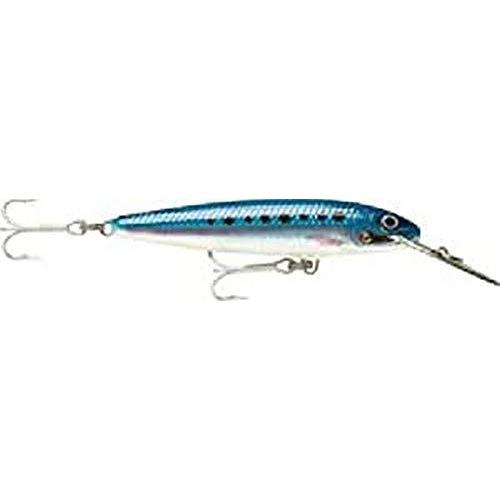 今年の新作から定番まで マグナム カウントダウン ミノー Rapala ラパラ 11cm ルアー Cd11mag Bsrd ブルーイワシ 24g その他フィッシングツール Www We Job Com