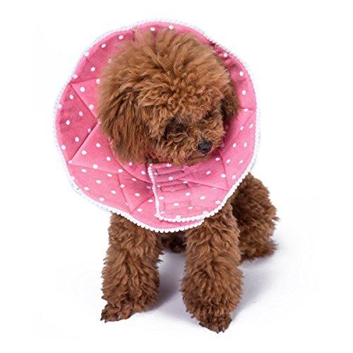 熱販売 首輪 ハーネス リード Alien Pet Alien Pet エリザベスカラー 犬用 猫用 ｍサイズ 軽量 布製 柔らかい 傷口保護 傷舐め防止 引っ掻き防止 術後服着替え Pappira Com