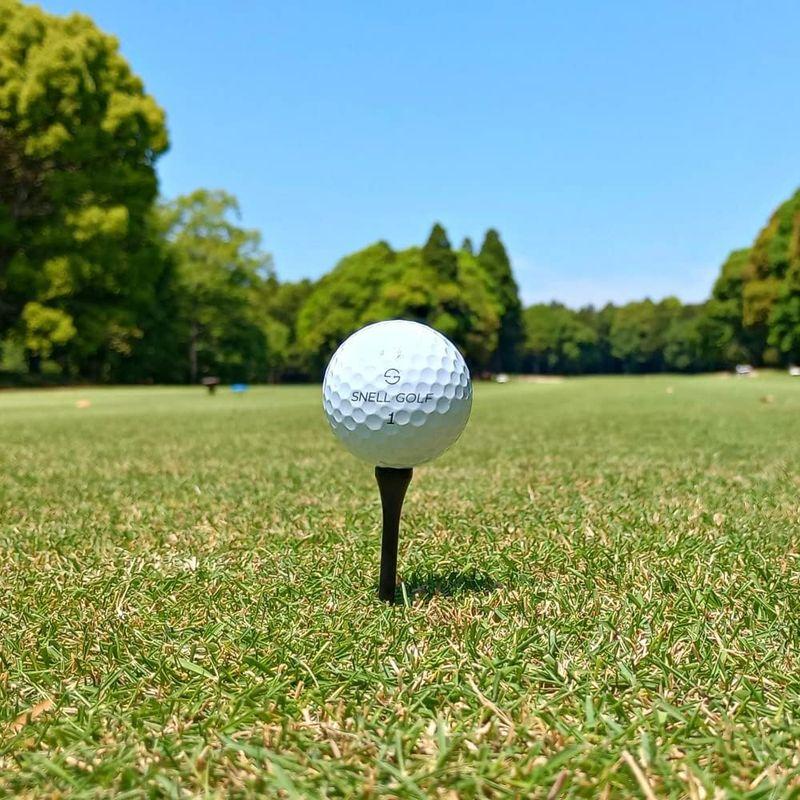 Snell Golf MTB PRIME（白）１ダース 日本正規品 USGA/R&A公認球 2023年新モデル オンライン限定商品｜hands-select-market｜06