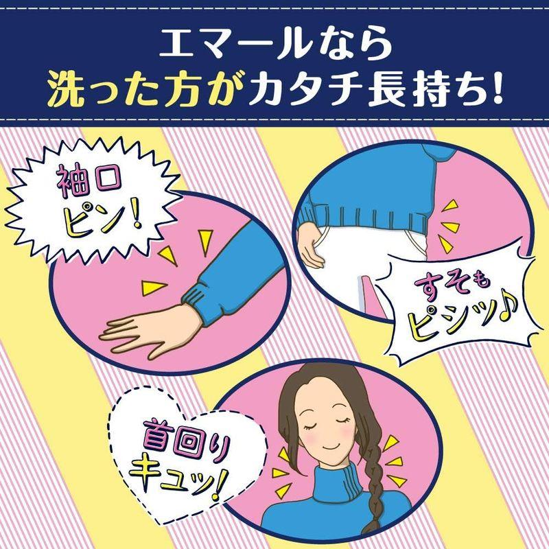 まとめ買いエマール 洗濯洗剤 液体 おしゃれ着用 リフレッシュグリーンの香り 詰め替え 920ml×2個｜hands-select-market｜06