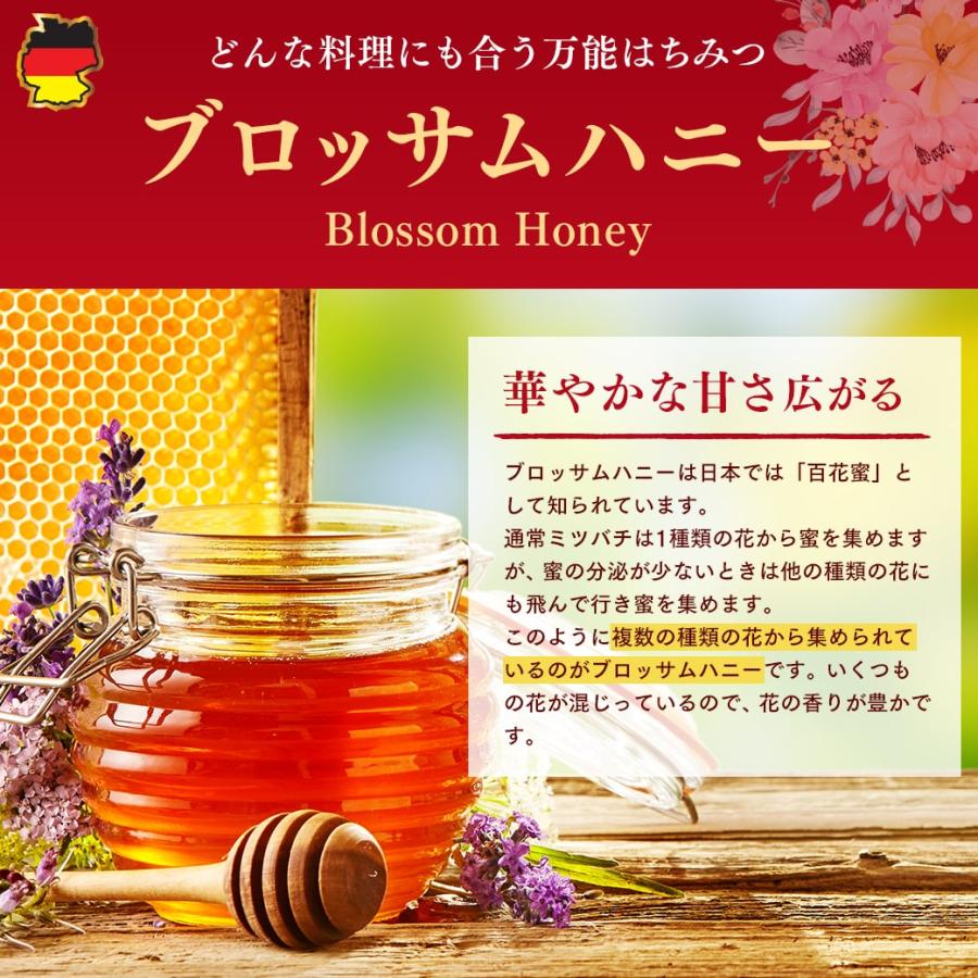 はちみつ バリム ブロッサムハニー 1kg ドイツ産 百花 蜂蜜 百花蜜