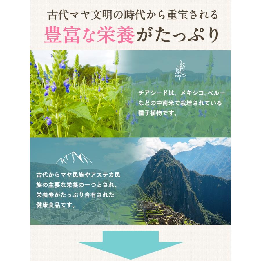 チアシード 有機JAS認証 ブラックチアシード 500g オーガニック 無添加 無農薬 有機 マウンテン｜hands｜08