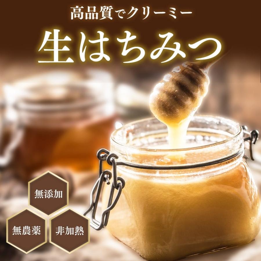 はちみつ クローバーハニー 500g ニュージーランド産 非加熱 無農薬 無添加 プレミアム 生はちみつ 蜂蜜 |  | 01