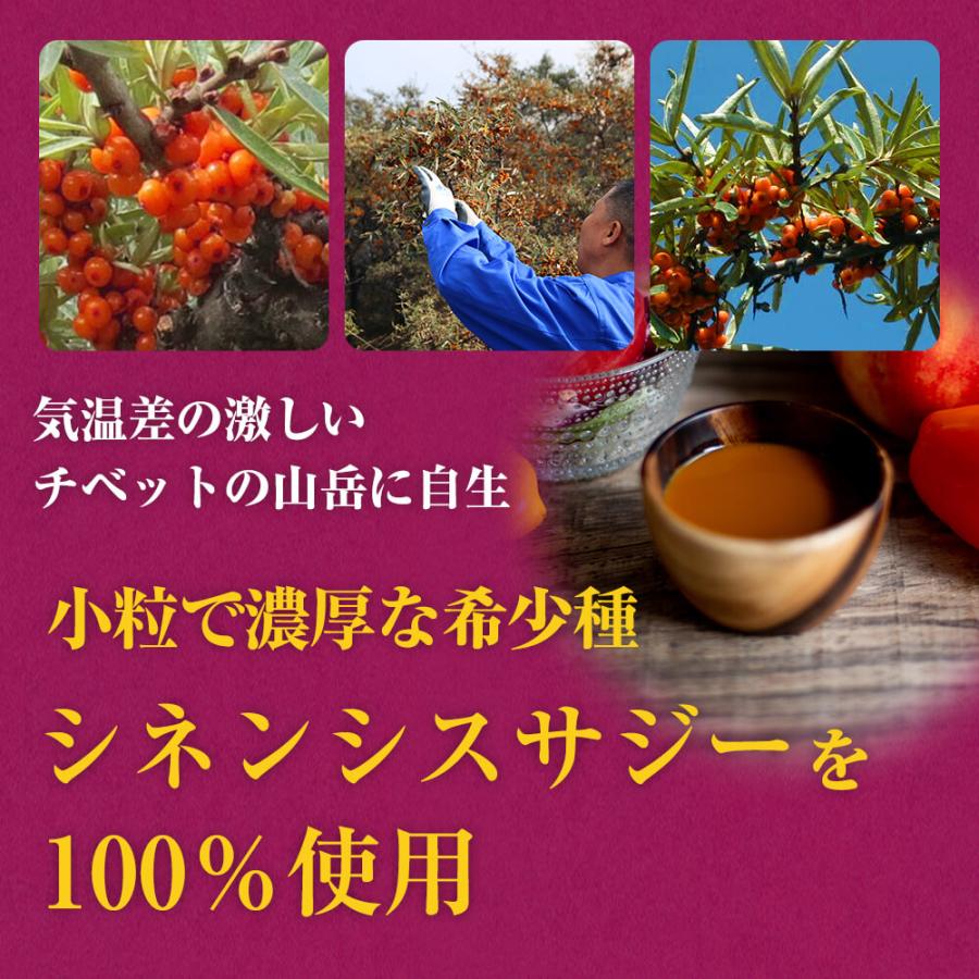 サジージュース 甘酸サジージュース 900g×3個セット 栄養機能食品(ビタミンC) シーバックソーン サジー 沙棘 鉄分補給の画像