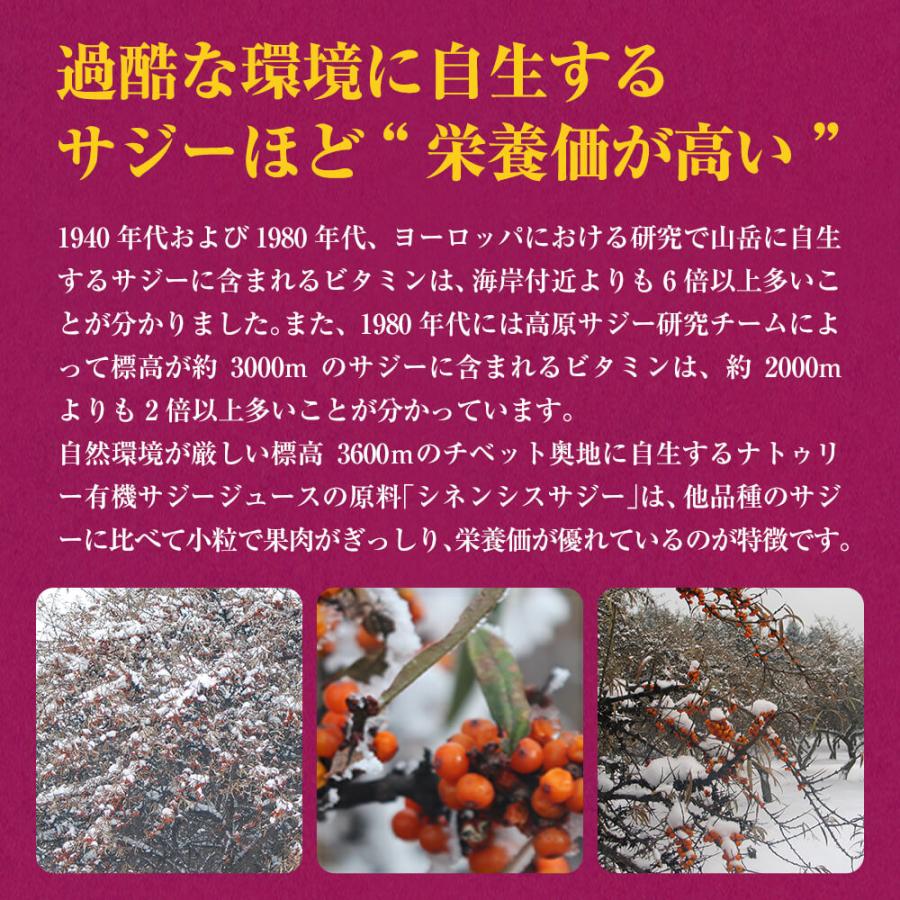 サジージュース 甘酸サジージュース 900g×6個 栄養機能食品(ビタミンC) シーバックソーン サジー サジードリンク 沙棘 鉄分補給 ナトゥリーの画像