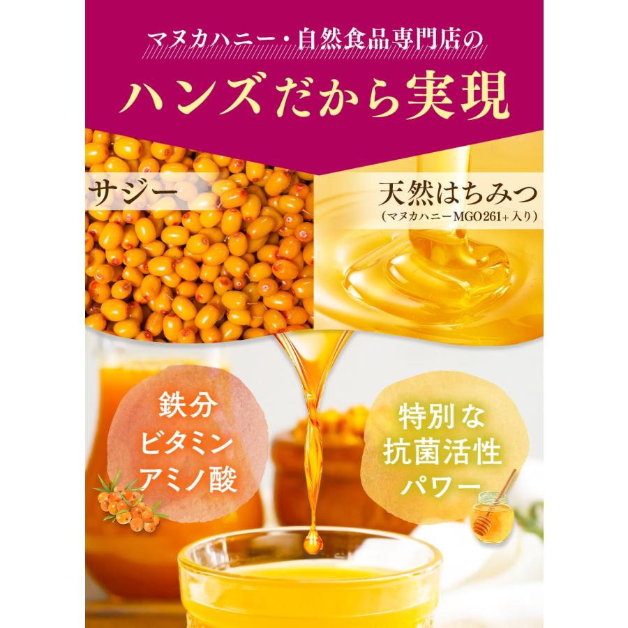 サジージュース 甘酸サジージュース 900g×6個 栄養機能食品(ビタミンC) シーバックソーン サジー サジードリンク 沙棘 鉄分補給 ナトゥリーの画像