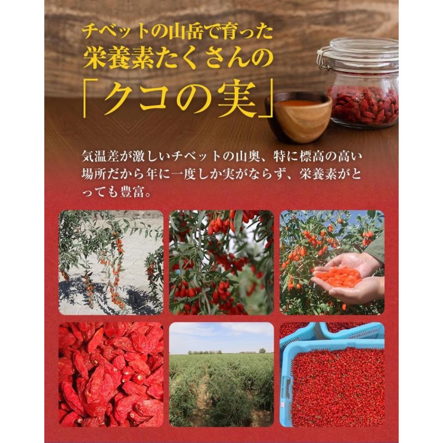 クコの実 有機JAS認証 クコの実 100g オーガニック ナトゥリー ゴジベリー クコ ウルフベリー 枸杞の実 ゼアキサンチン | NaTruly | 07