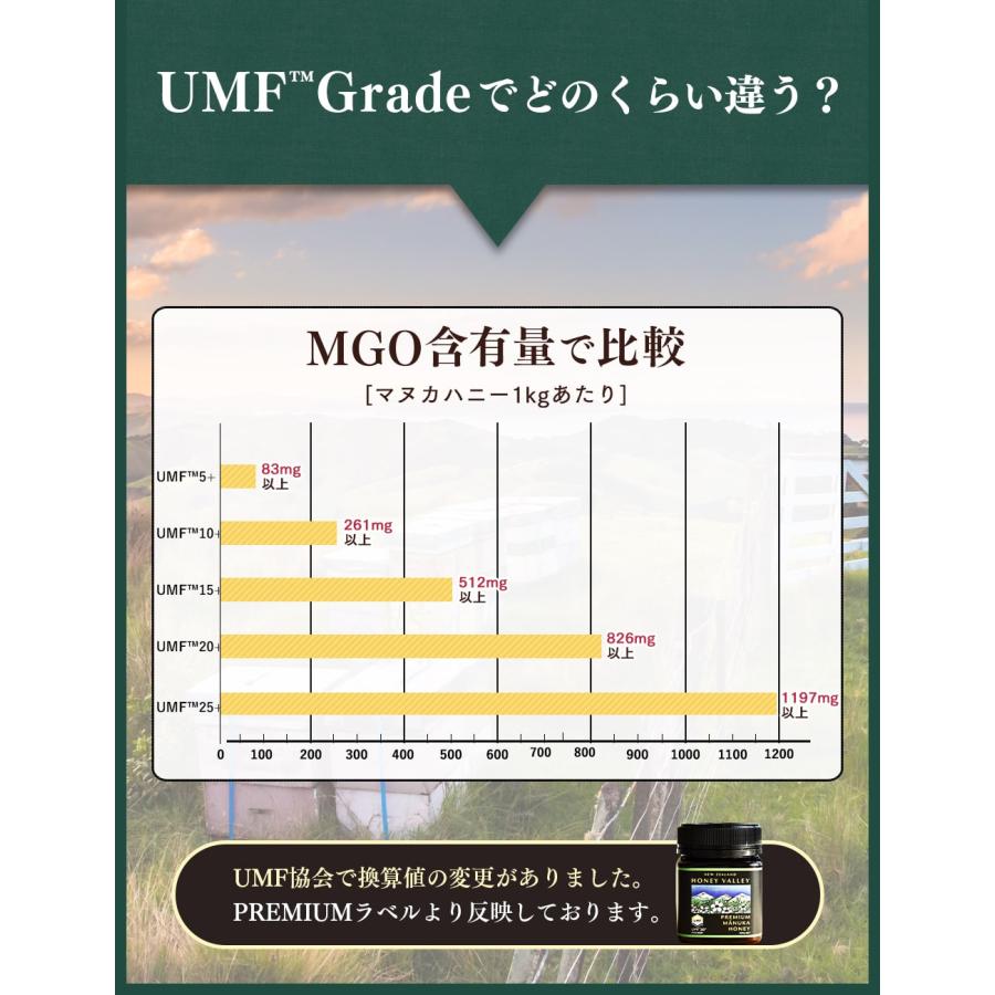 マヌカハニー MGO261+ 120g リキッドタイプ UMF10+相当 無農薬 無添加 非加熱 はちみつ 蜂蜜 マヌカ | ハニーバレー | 14
