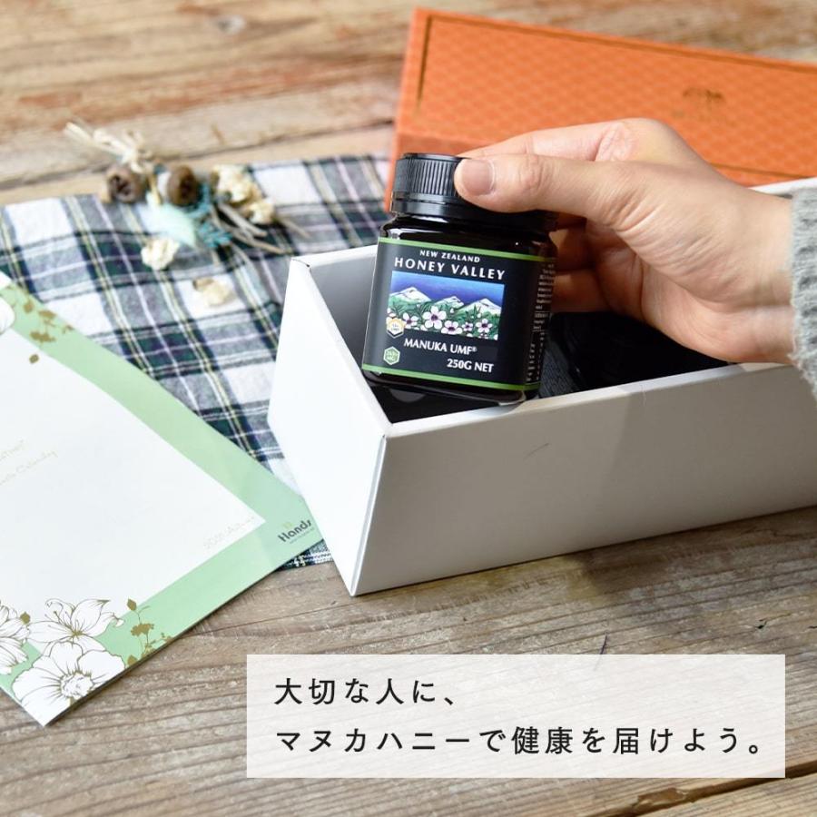 ギフト マヌカハニー UMF20+ 250g×3個セット ギフトセット MGO829以上 プレミアム はちみつ 蜂蜜 御中元 御歳暮 敬老の日 母の日の画像