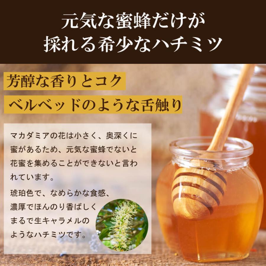 はちみつ マカダミアハニー 40g オーストラリア産 マカダミア 蜂蜜