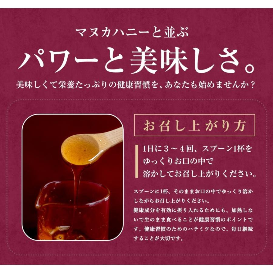 マリーハニー TA35+ 500g×2個セット ( 合計1kg ) はちみつ 蜂蜜 マヌカハニー に並ぶパワー [容器をお選び頂けます]｜hands｜15