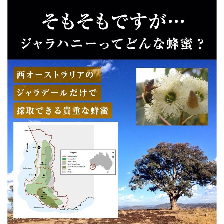 はちみつ ジャラハニー TA35+ 120g＆ マリーハニー TA35+ 120gのお試しセット オーストラリア産 蜂蜜 ハチミツ｜hands｜08
