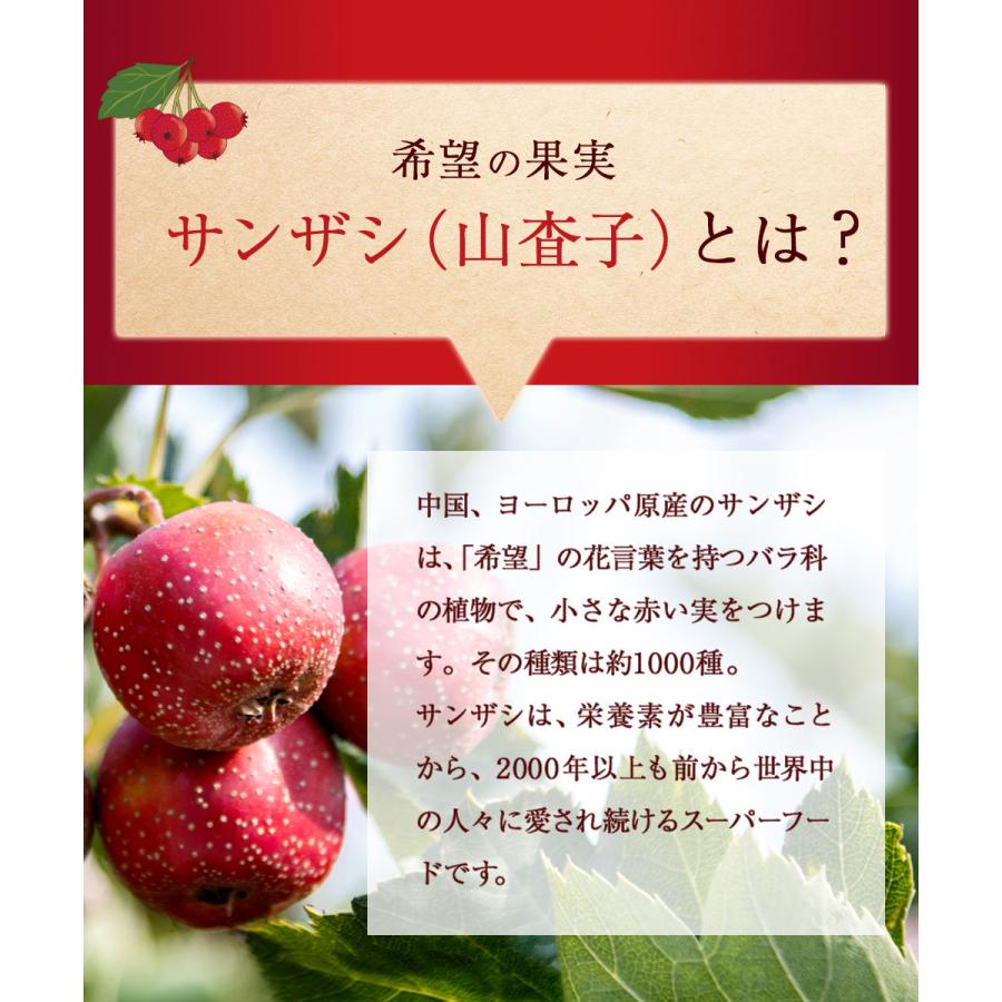 ザクロ レッドビーツ サンザシ ナトゥリー 濃縮エキス 250g×3種セット ザクロジュース ざくろ さんざし [初回限定3セットまで] | NaTruly | 13