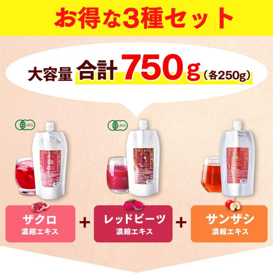 NaTruly（ナトゥリー） ザクロ レッドビーツ サンザシ 濃縮エキス 250g