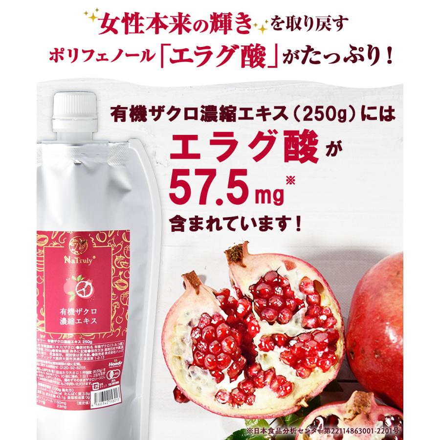 NaTruly（ナトゥリー） ザクロ レッドビーツ サンザシ 濃縮エキス 250g