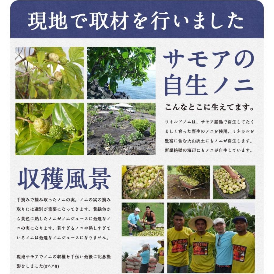 お試し ノニジュース 900mL × 2本セット 有機JAS認証 3ヶ月熟成 ノニジュース クックアイランド産 と半年熟成 ノニジュース サモア産｜hands｜18