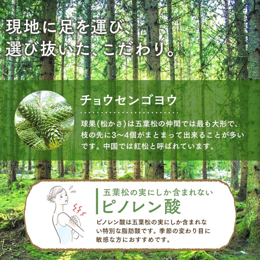 松の実 有機 松の実 50g 特級AAグレード オーガニック 無農薬 ノンオイル 無塩 生 まつのみ ピノレン酸 ナトゥリー | NaTruly | 10