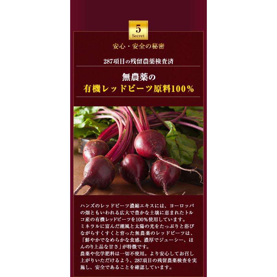 レッドビーツ ナトゥリー 有機レッドビーツ濃縮エキス250gとレッドビーツ濃縮エキススティック20g×7本 10倍濃縮 ビーツジュース [初回限定5セットまで] | NaTruly | 12