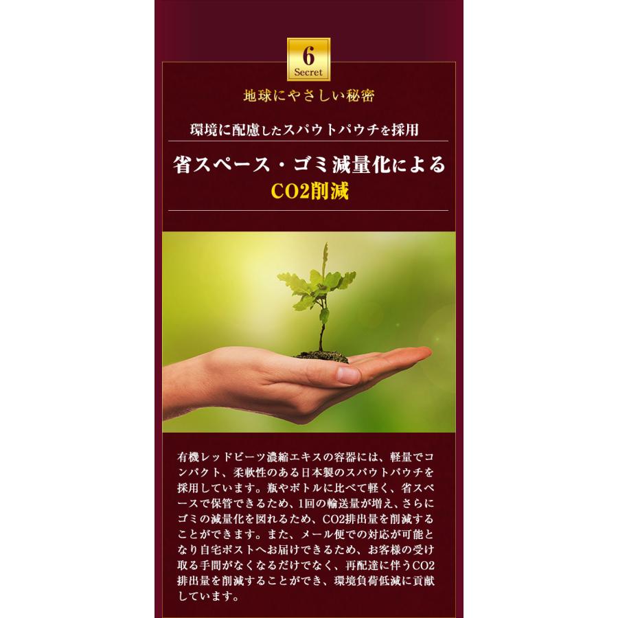 レッドビーツ ナトゥリー 有機レッドビーツ濃縮エキス250gとレッドビーツ濃縮エキススティック20g×7本 10倍濃縮 ビーツジュース [初回限定5セットまで] | NaTruly | 13