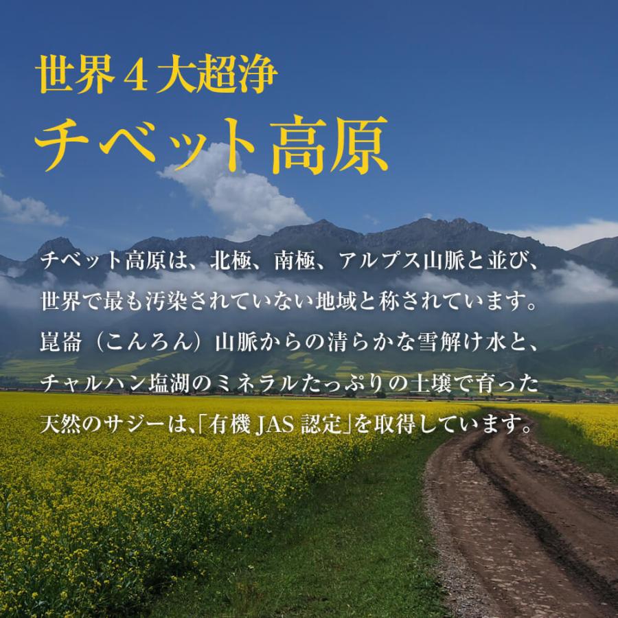 サジージュース オーガニック 900ml 3本セット サジー100% 無添加 栄養機能食品(ビタミンC) 有機JAS認証 シーバックソーン 沙棘の画像