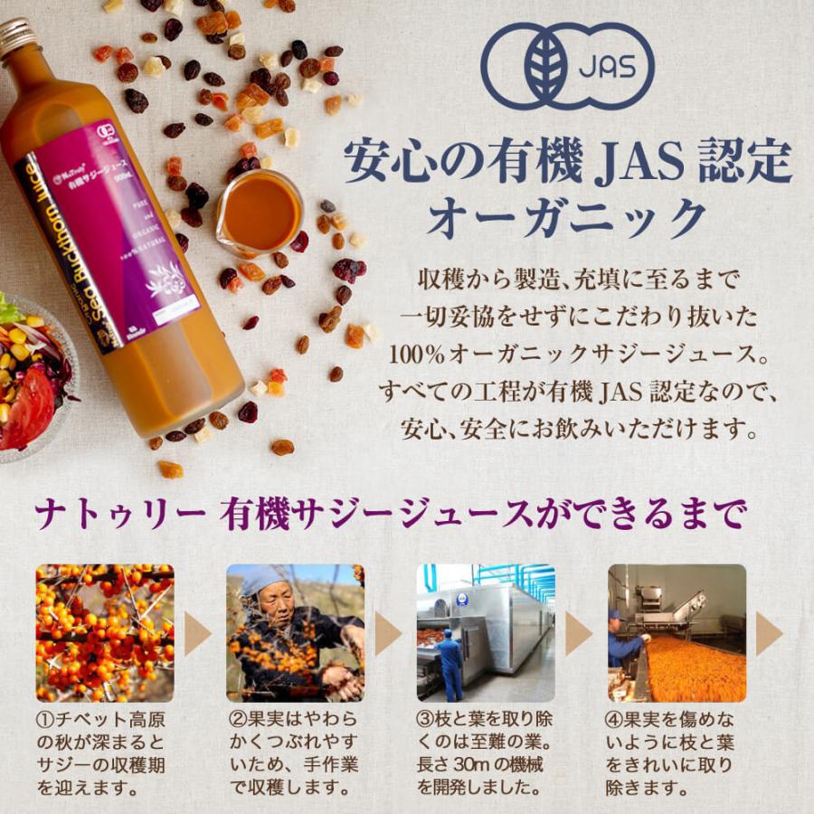 サジージュース 900ml 3本セット ナトゥリー オーガニック 100% 有機JAS認証 シーバックソーン サジー 栄養機能食品(ビタミンC) 沙棘｜hands｜16