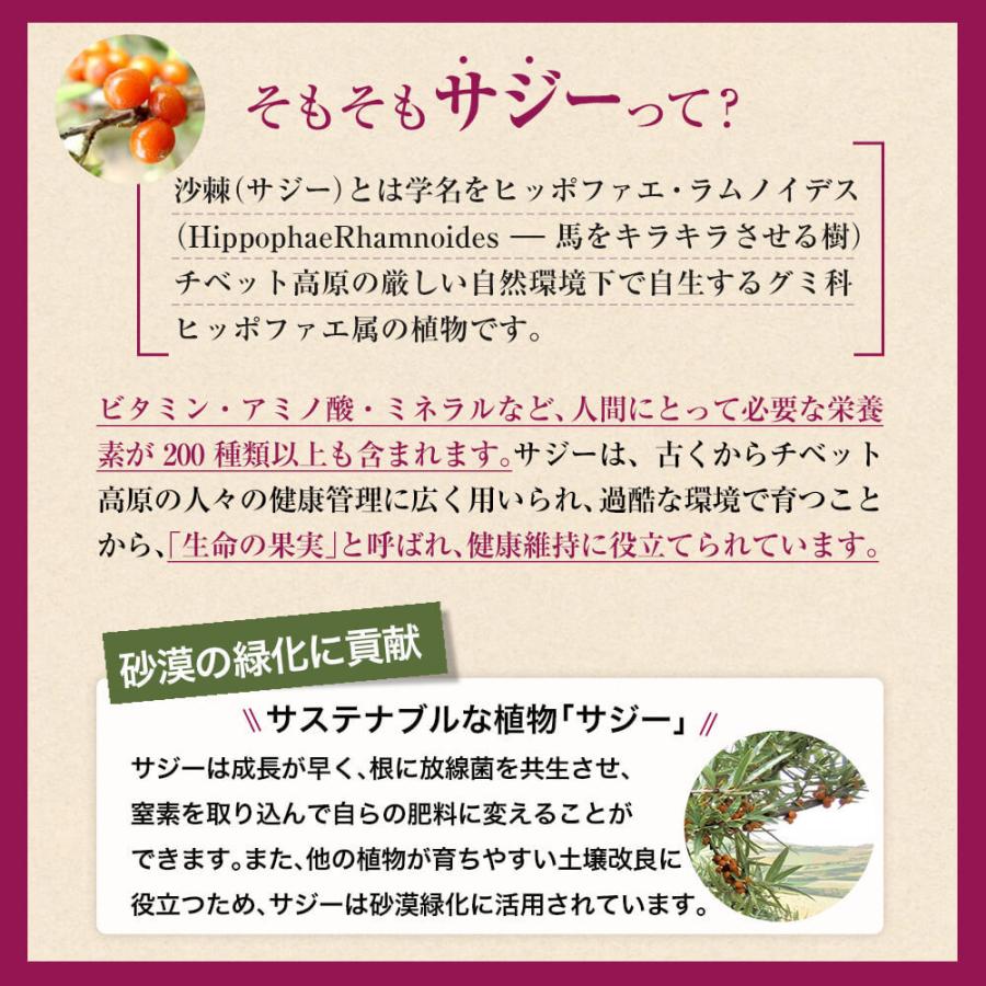 サジージュース 900ml 6本セット オーガニック サジー100% 有機JAS認証 栄養機能食品(ビタミンC) シーバックソーン サジードリンク 沙棘 鉄分補給の画像