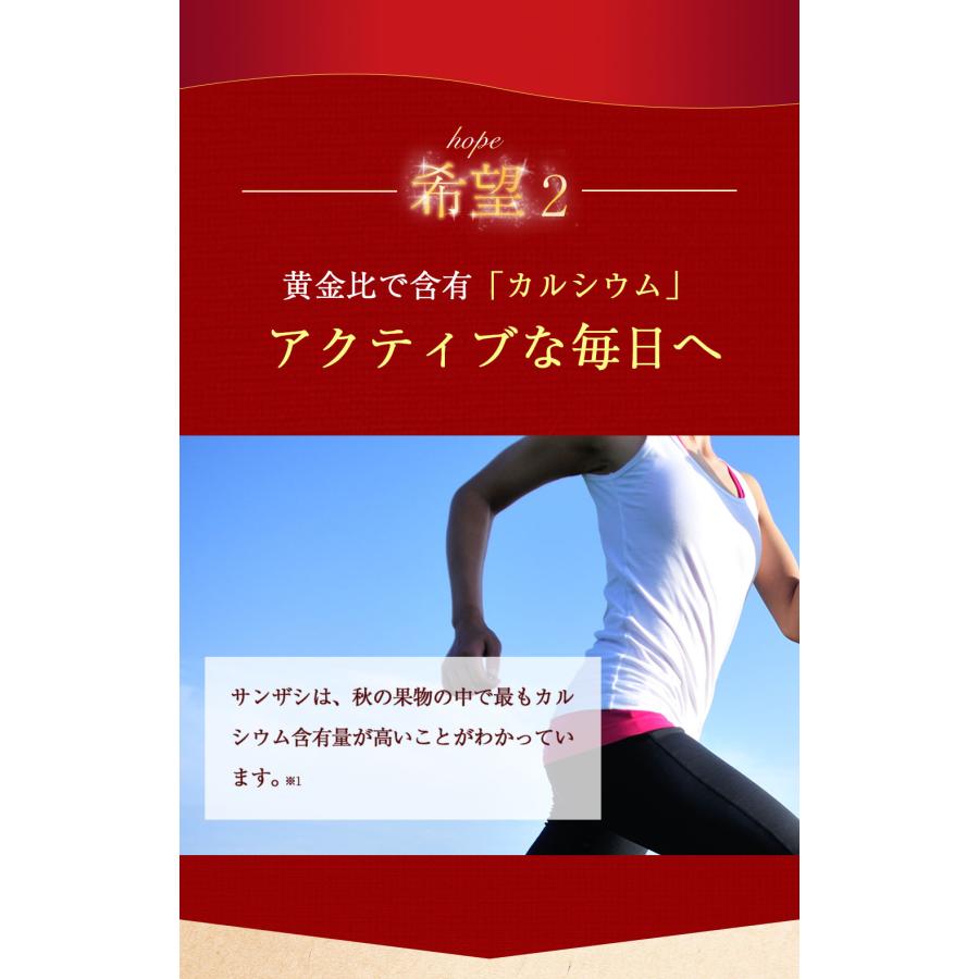 NaTruly（ナトゥリー） さんざしジュース サンザシ 濃縮エキス