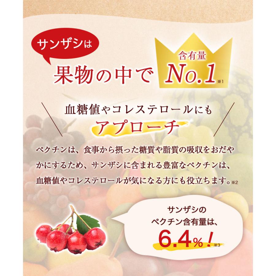 NaTruly（ナトゥリー） さんざしジュース サンザシ 濃縮エキス