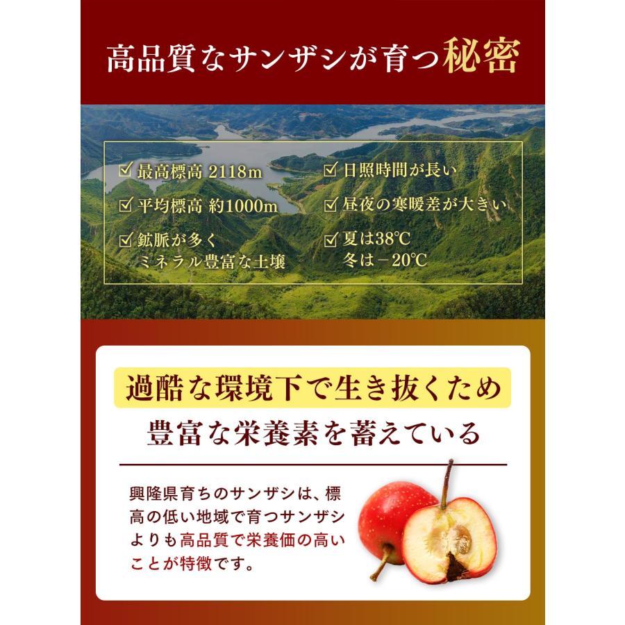 NaTruly（ナトゥリー） さんざしジュース サンザシ濃縮エキスと