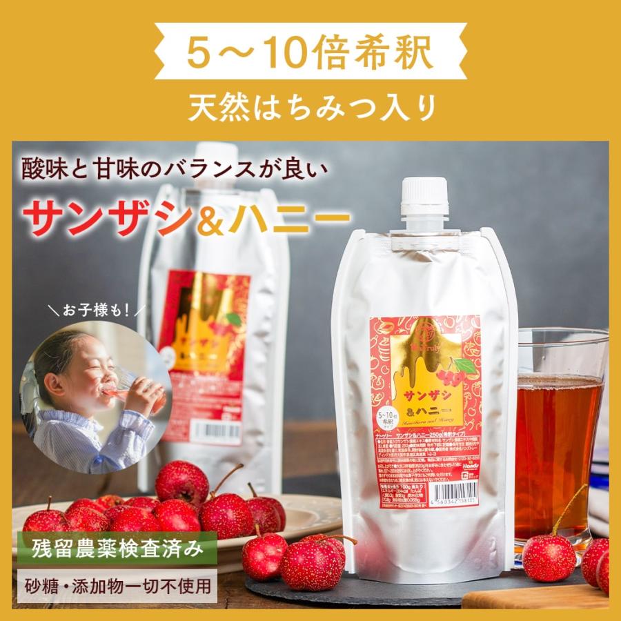 サンザシドリンク ナトゥリー サンザシ濃縮エキスとサンザシ＆ハニー 各250gセット 山査子 サンザシ サンザシドリンク さんざし｜hands｜06