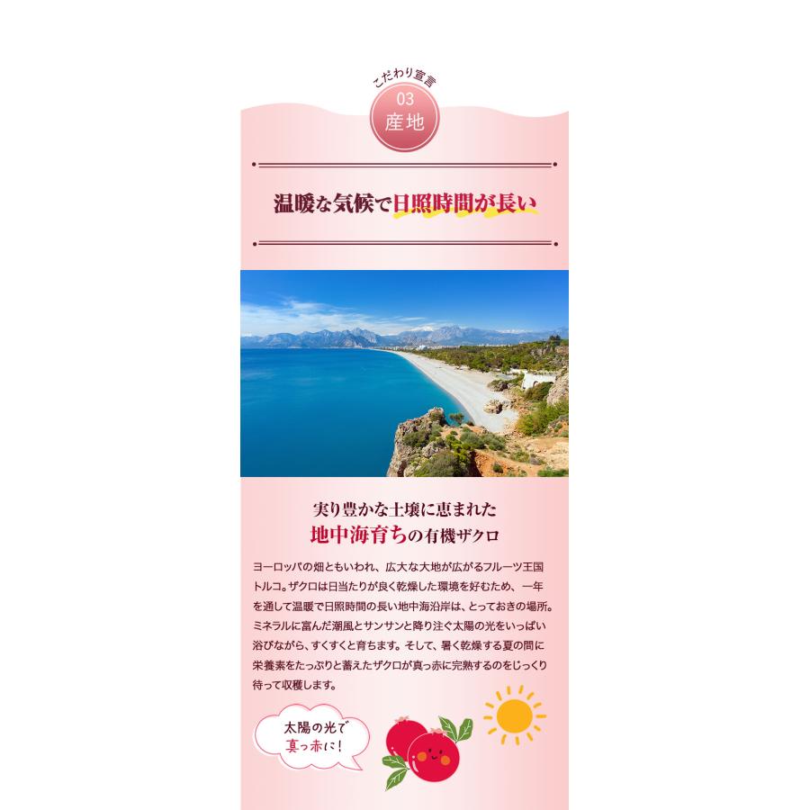 ザクロジュース 有機ザクロ濃縮エキス250gと有機ザクロ濃縮エキススティック20g×7本 10倍濃縮 [初回限定5セットまで] ナトゥリー | NaTruly | 14