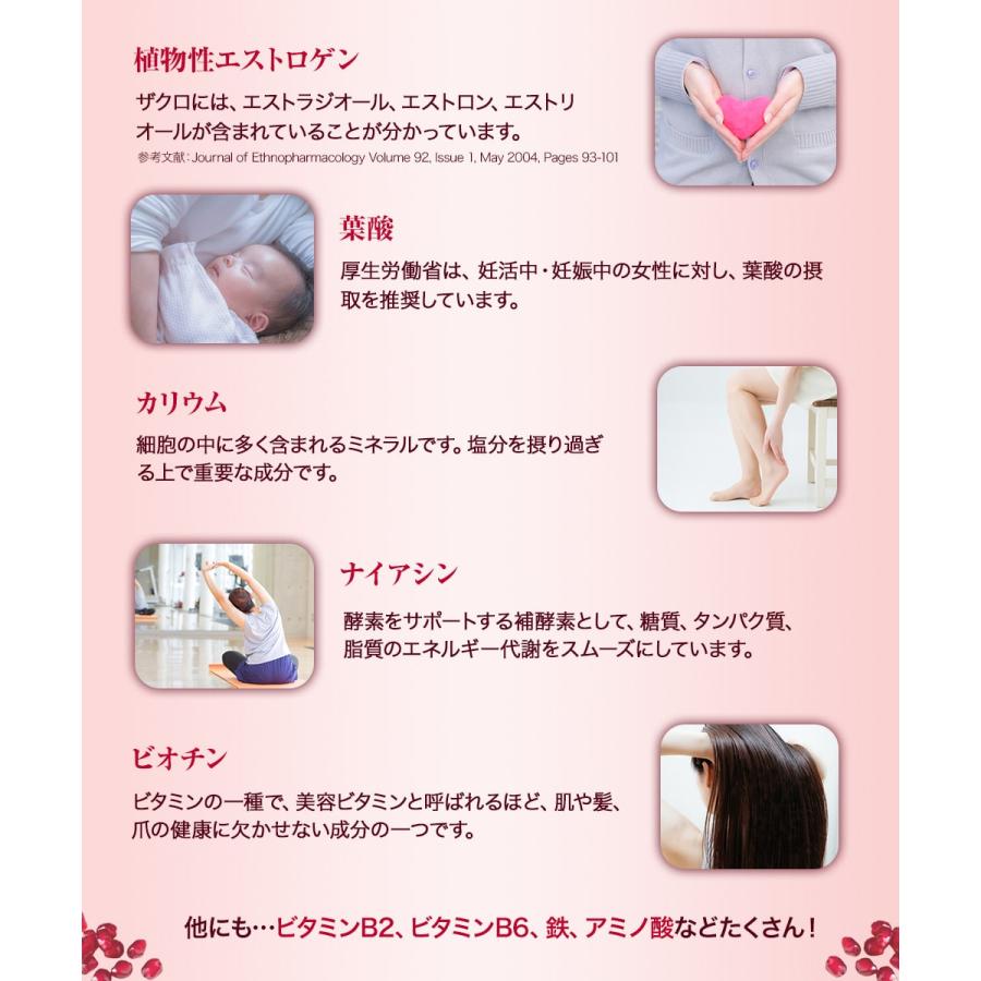 ザクロジュース 有機ザクロ濃縮エキス250gと有機ザクロ濃縮エキススティック20g×7本 10倍濃縮 [初回限定5セットまで] ナトゥリー | NaTruly | 09