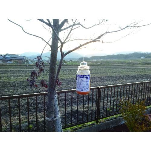 SHIMADA 捕獲器 スズメバチ誘引捕獲器 No.106292 : ハンズコテラ Yahoo