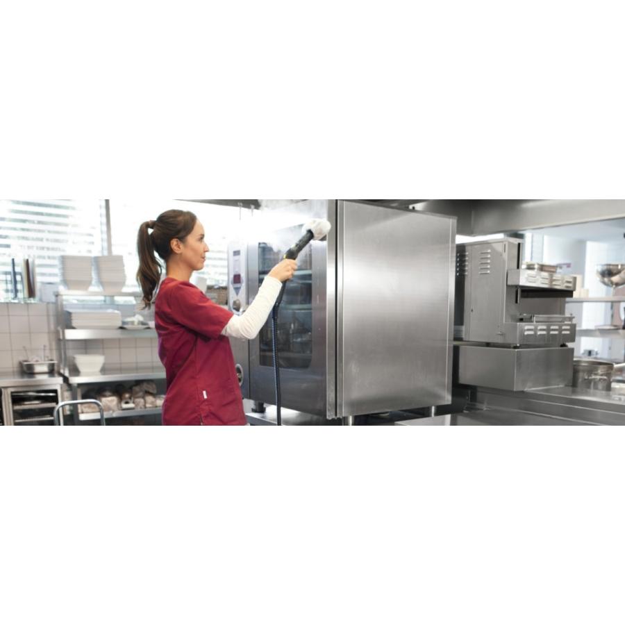 ケルヒャー 代引き不可 KARCHER 業務用スチームクリーナー SG4/4