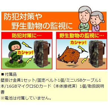ネクストアグリ 見張り番カメラ 防犯くん BK-1 : ハンズコテラ Yahoo