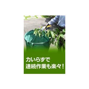 RYOBI リョービ】充電式剪定ばさみ BSH-120 3.6V :BSH-120 RYOBI リョービ】充電式剪定ばさみ BSH-120 3.6V :BSH-120