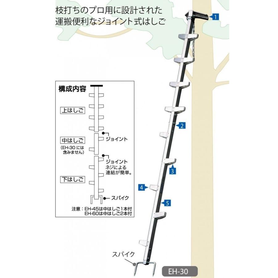 代引き不可 ハセガワ長谷川工業 Hasegawa　EH型　林業用枝打はしご交換用 下はしご　EH 10115　※個人様宅配送不可_1