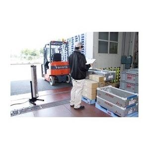 代引き不可 DENSO デンソー 遠赤外線ヒーター(首振りなし) 3連タイプ