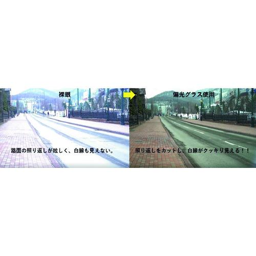 眼科プラクティス (29) 眼科プラクティス (29) | 丸尾 敏夫 |本 | 通販 | Amazon