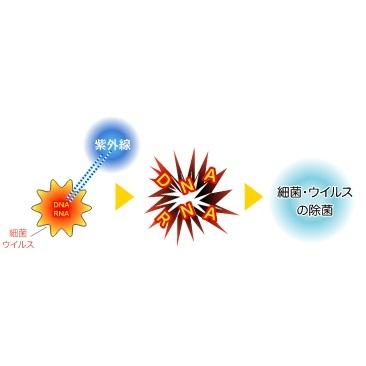 IWASAKI 岩崎電気 空気循環式紫外線清浄機 エアーリア コンパクト