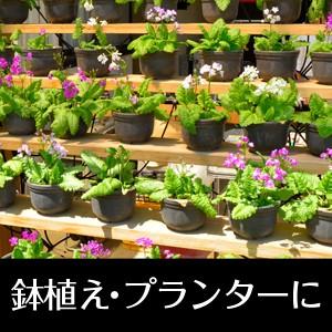 takagi タカギ 潅水用品 スプリンクラー 水やりスターターキット