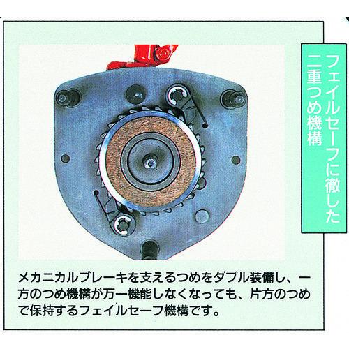 代引き不可 象印 スーパー100H級チェーンブロック 2t・3m H-02030