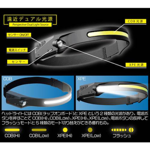 リンクサス 充電式デュアルヘッドライト HDL-DHL01 : ハンズコテラ