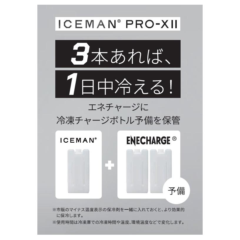在庫限り YAMASHIN 山真製鋸 ICEMAN ENECHARGE アイスマン エネ