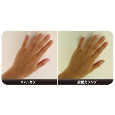 代引不可  大成ファインケミカル  オプトロン防虫ランプ（蛍光管）オプトエナジー［リアルカラー］Hf32形 32W 25本入 OE32/OP-RC Hf器具専用の画像