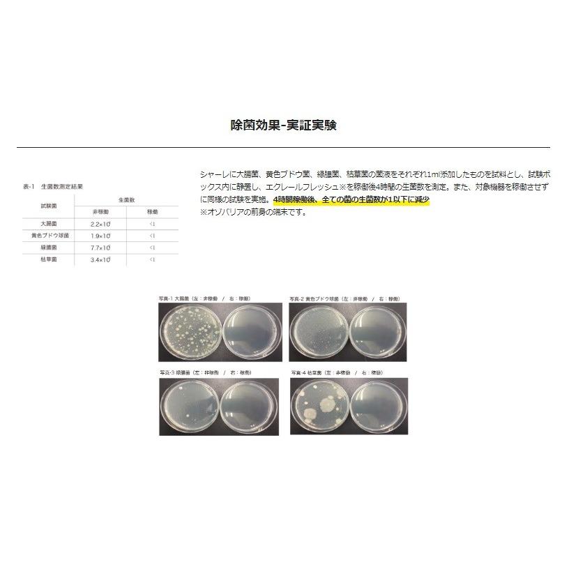 在庫特価 ozobarrier オゾバリア モバイルタイプ 低濃度オゾン