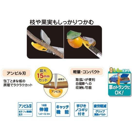 Amazon.co.jp: ムサシ ガーデニング用バリカン替刃(P-2001/P