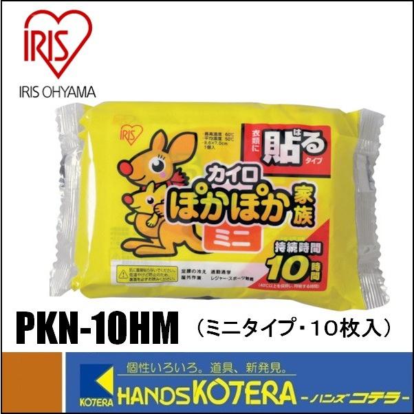 IRIS アイリスオーヤマ ぽかぽか家族 貼るミニ 10P PKN-10HM